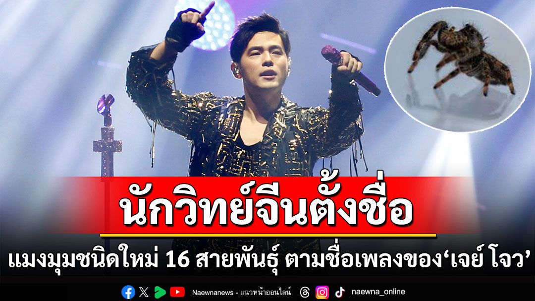 คุยกัน7วันหน : นักวิทย์จีนตั้งชื่อ ‘แมงมุมชนิดใหม่ 16 สายพันธุ์’  ตามชื่อเพลงของ ‘เจย์ โจว’