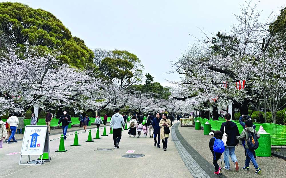 แหวกฟ้าหาฝัน : บันเทิงย่าน Ueno