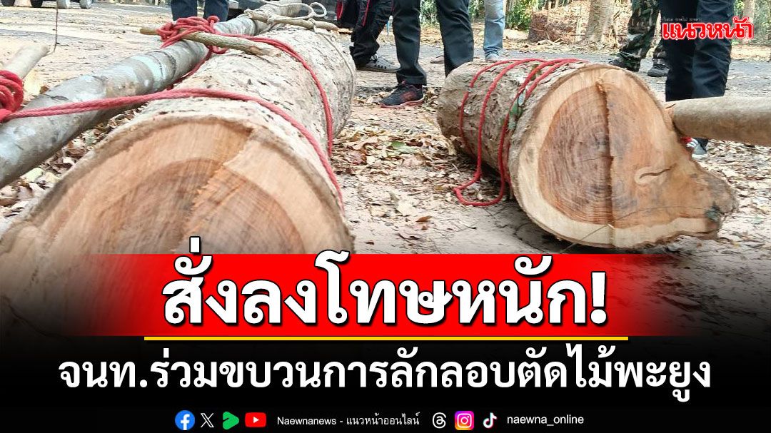 'อธิบดีอุทยานฯ'สั่งลงโทษหนัก! จนท.ร่วมขบวนการลักลอบตัดไม้พะยูง​