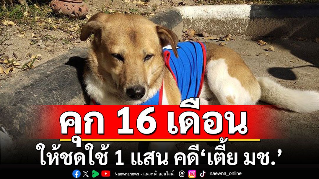 ศาลพิพากษาคุก 16 เดือน ไม่รอลงอาญา ชดใช้ 1 แสน คดี‘เตี้ย มช.’