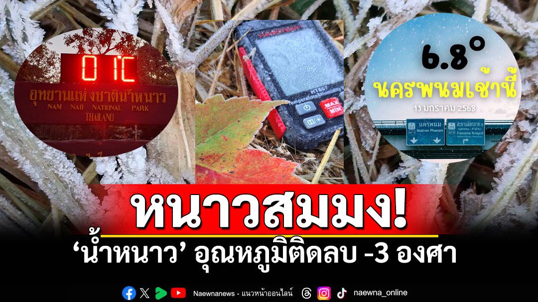 เย็นสุดขั้ว! ทั่วไทยหนาวสะท้าน 'น้ำหนาว'อุณหภูมิติดลบ-3องศา