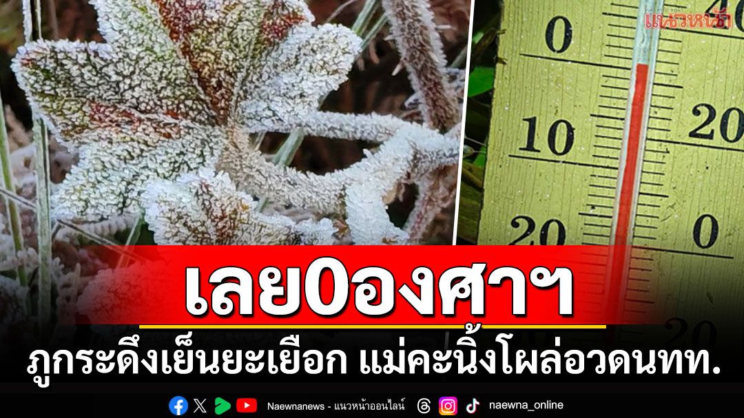 เลยสัมผัส0องศาฯ 'ภูกระดึง'เย็นยะเยือกแม่คะนิ้งขาวโพลนโผล่บนยอดหญ้า