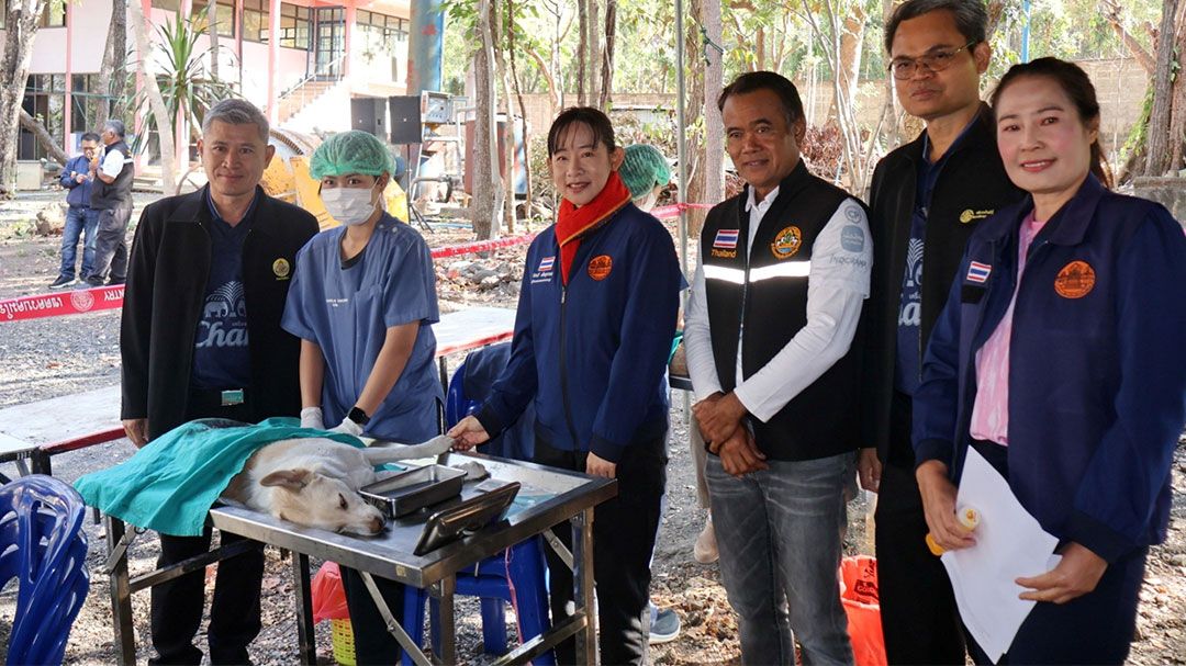 ปศุสัตว์บุรีรัมย์ จับมือท้องถิ่น ฉีดวัคซีน-ทำหมันสุนัข-แมว ป้องกันโรคพิษสุนัขบ้า