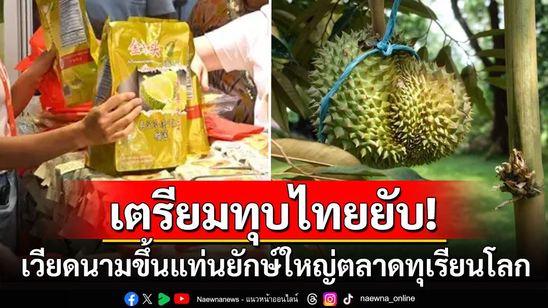 เวียดนามผงาด! ขึ้นแท่นยักษ์ใหญ่ตลาดทุเรียนโลก ลุยส่งออกจีนเตรียมแซงหน้าไทย