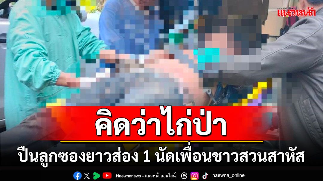 คนทำสวนยางใกล้กันสำคัญผิดนึกว่า'ไก่ป่า'ปืนลูกซองยาวส่อง 1 นัดบาดเจ็บสาหัส