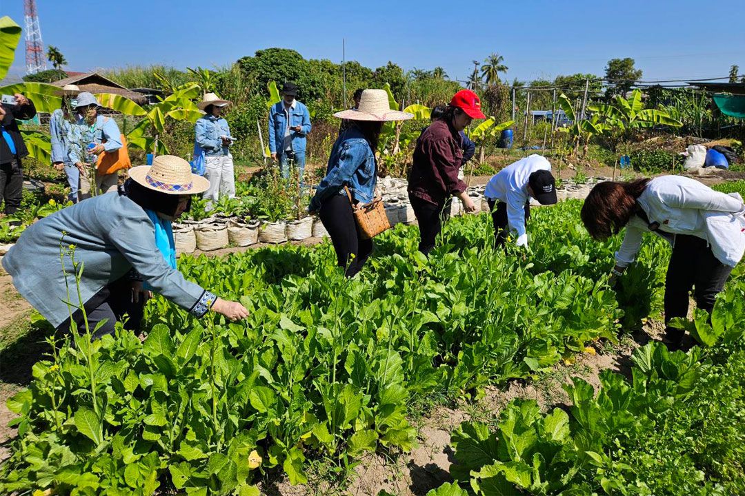 สสส.-มช. เดินหน้าโครงการ 'Chiang Mai Greentopia' ต้นแบบอาหารเกษตรอินทรีย์เพื่อสุขภาวะ