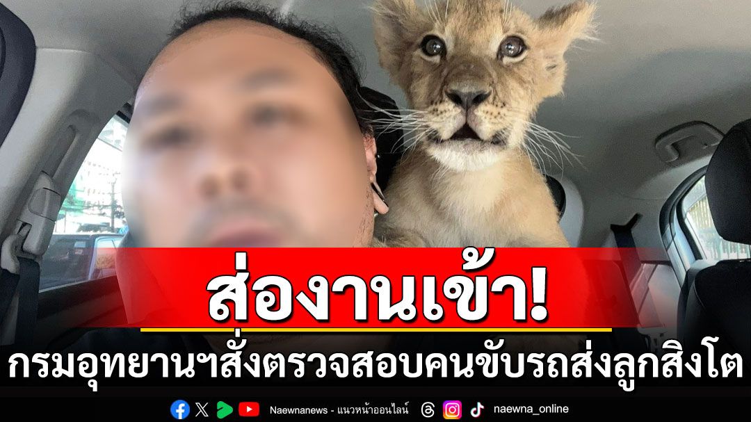 งานเข้า! กรมอุทยานฯสั่งตรวจสอบหนุ่มรีวิวส่ง'ลูกสิงโต' ล่าสุดเจ้าตัวลบโพสต์เจ้าปัญหาแล้ว