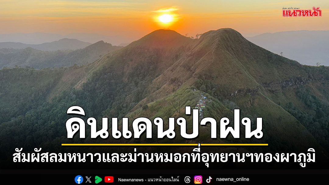 ดินแดนแห่งป่าฝน! เที่ยวอุทยานฯทองผาภูมิ สัมผัสลมหนาวและม่านหมอก (ภาพชุด)