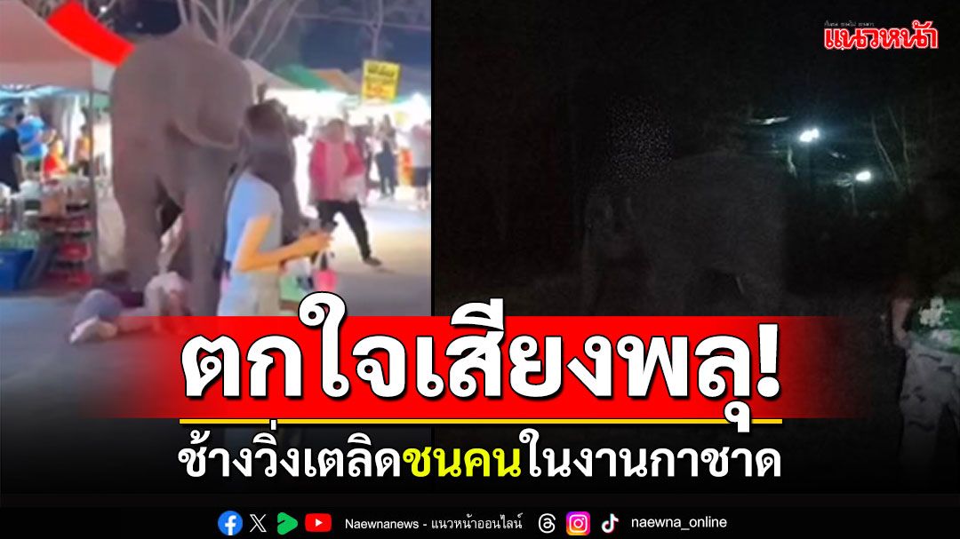 ช้างตกใจเสียงพลุ! วิ่งเตลิดชนคน งานกาชาดหนองบัวลำภู