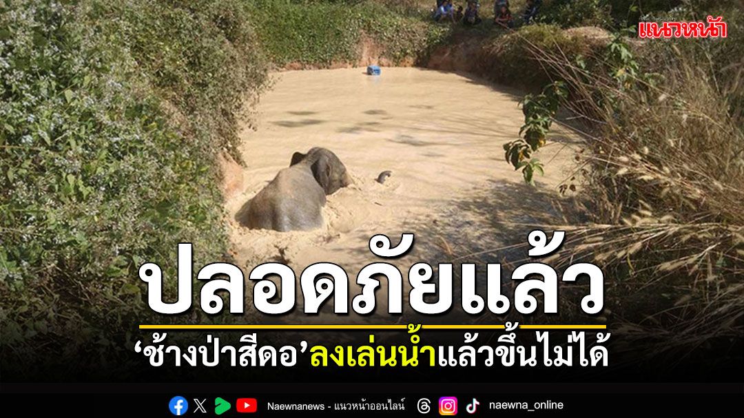 ปลอดภัยแล้ว! จนท.อุทยานฯ ช่วย'ช้างป่าสีดอ'ลงเล่นน้ำแล้วขึ้นไม่ได้