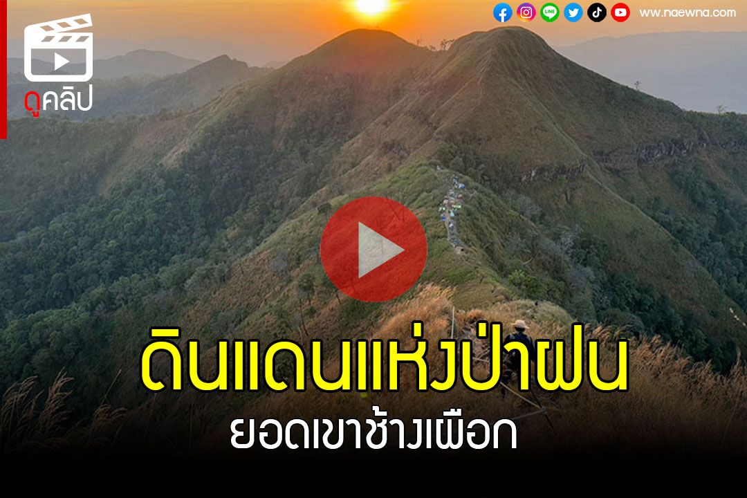 (คลิป) ดินแดนแห่งป่าฝน! เที่ยวอุทยานฯทองผาภูมิ สัมผัสลมหนาวและม่านหมอก