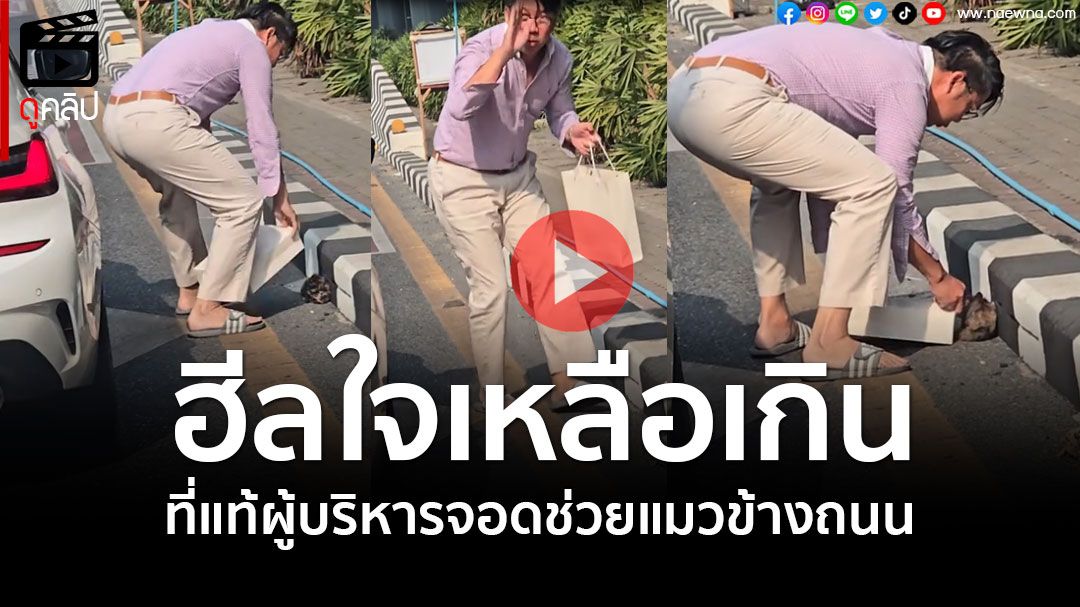 (คลิป) รวยน้ำใจ! ที่แท้เขาคือผู้บริหารขับBMW จอดกลางทางช่วย 'ลูกแมว'