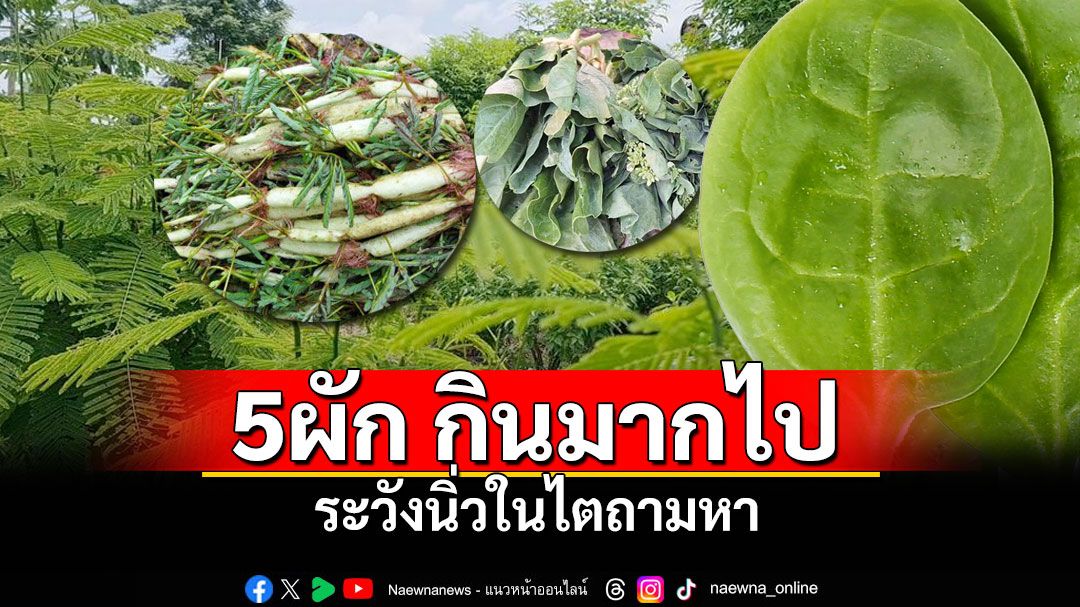 'นพ.เจษฎ์'ให้ความรู้เตือนสายกิน 5ผักสุดฮิตกินมากไประวัง'นิ่ว'ในไตถามหา