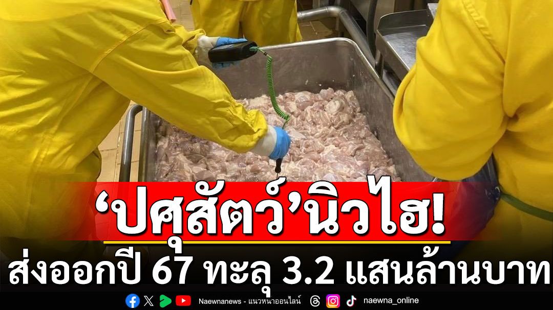 'ปศุสัตว์'นิวไฮ ส่งออกปี 67 ทะลุ 3.2 แสนล้านบาท 'กลุ่มเนื้อสัตว์ปีก'สร้างสถิติใหม่