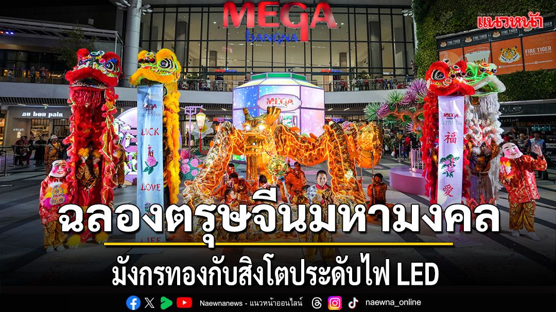 อลังการโชว์มังกรทองกับสิงโตประดับไฟ LEDฉลองตรุษจีนมหามงคล