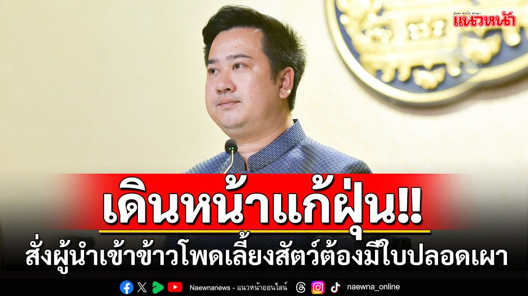 'รัฐบาล'สั่งผู้นำเข้าข้าวโพดเลี้ยงสัตว์ต้องมีใบรับรองปลอดเผา เข้มเดินหน้าแก้ฝุ่นระยะยาว