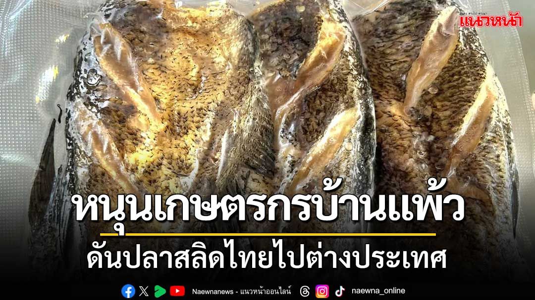 ปลาสลิดไทยไปทั่วโลก! หนุนเกษตรกรบ้านแพ้วดันปลาสลิดไทยไปต่างประเทศ