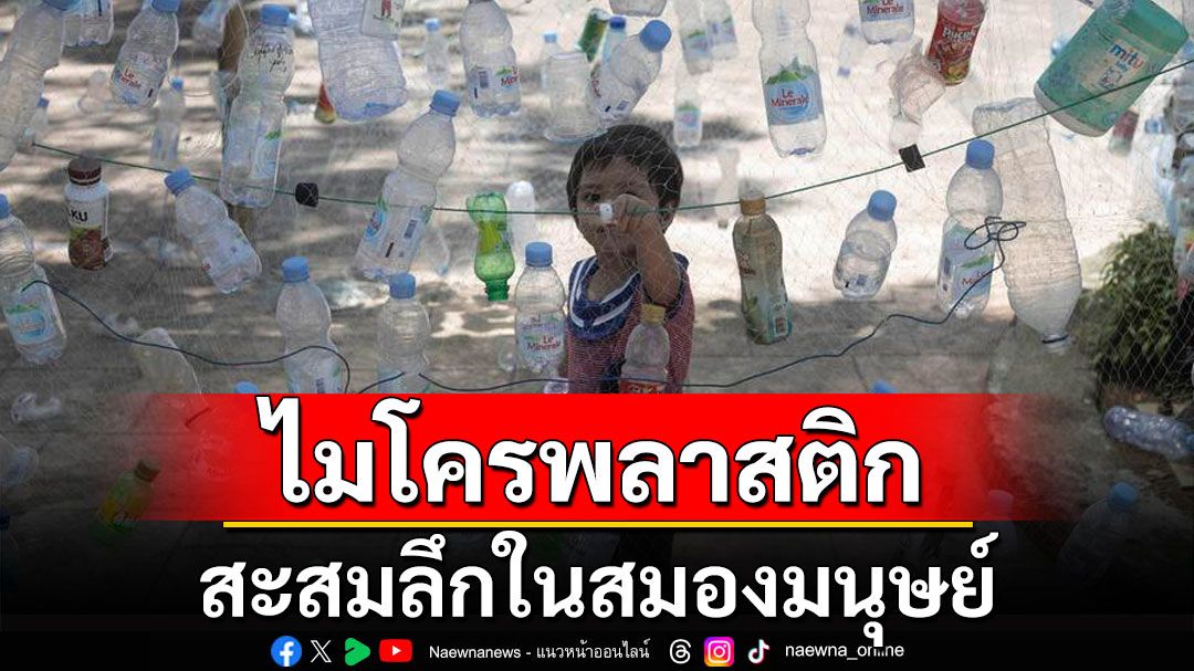 นักวิทย์พบ 'ไมโครพลาสติก' สะสมลึกในสมองมนุษย์