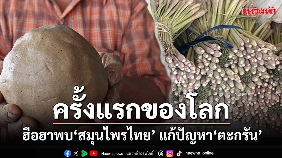 ฮือฮา!ค้นพบ‘สมุนไพรไทย’ แก้ปัญหา‘ตะกรัน’ในระบบทำความเย็น ครั้งแรกของโลก