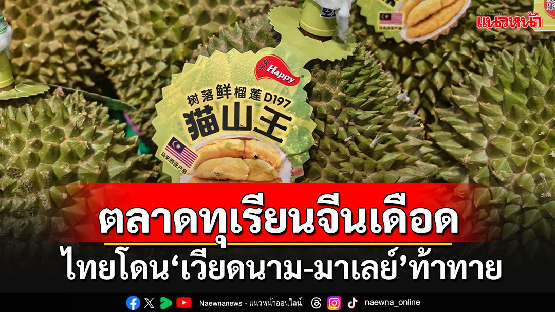 ตลาดทุเรียนจีนเดือด!!! 'เวียดนาม-มาเลเซีย'เติบโตพุ่ง ท้าทายไทยผู้ส่งออกรายใหญ่