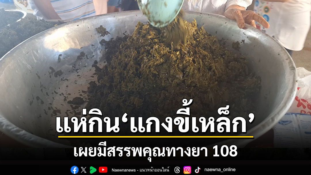 ชาวพะเยา'แห่กินแกงขี้เหล็ก'งาน'สรงน้ำพระธาตุวัดลี'เผยมีสรรพคุณทางยา 108