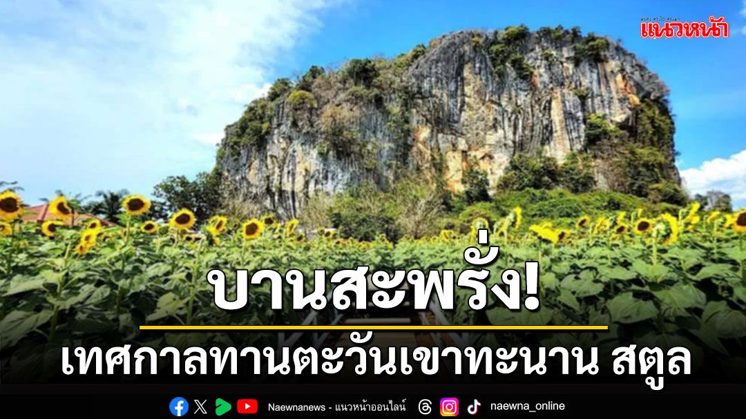 ‘บานสะพรั่ง!’ ทะเลดอกไม้สีทองกลางขุนเขาทะนาน จ.สตูล