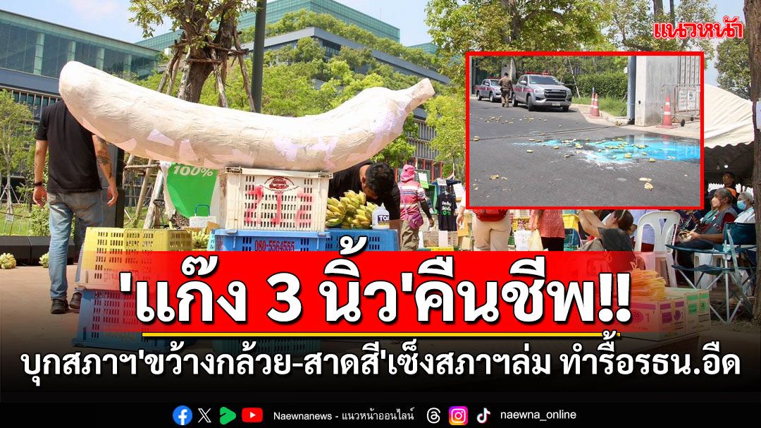 'แก๊ง 3 นิ้ว'คืนชีพ!! บุกประชิดรัฐสภา'ขว้างกล้วย-สาดสี'สุดเซ็งสภาฯล่ม ทำรื้อรธน.อืด