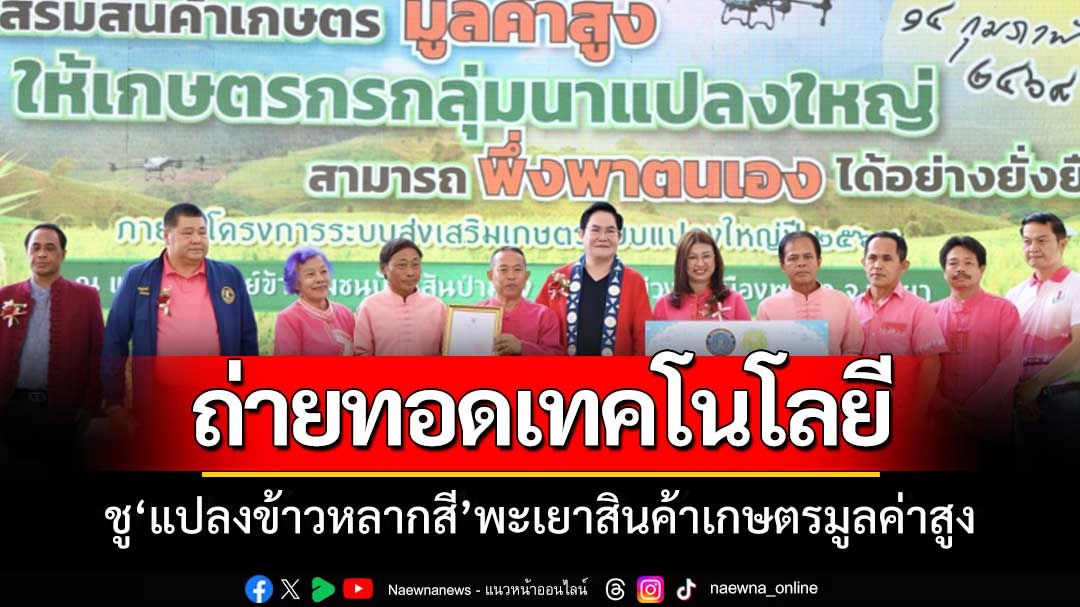 ก.เกษตรฯ ถ่ายทอดเทคโนโลยีผลิตข้าวสู่สินค้าเกษตรมูลค่าสูง เปิดจุดเช็คอิน 'แปลงข้าวหลากสี' พะเยา