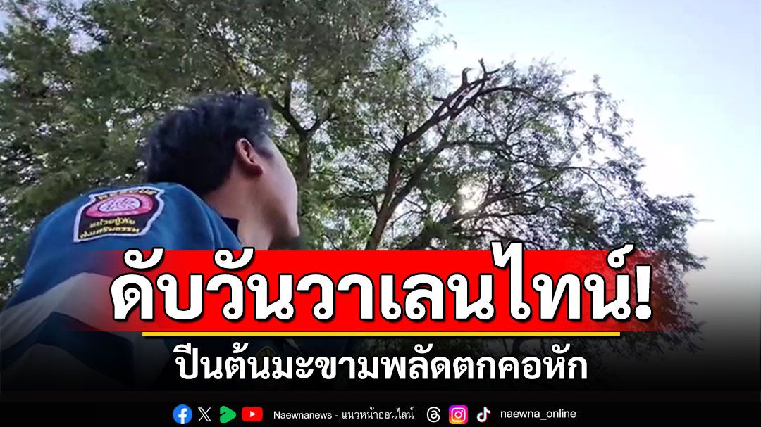 ดับวันวาเลนไทน์! หนุ่มใหญ่ปีนต้นมะขามพลัดตกคอหัก แม่ลูกร่ำไห้แทบขาดใจ