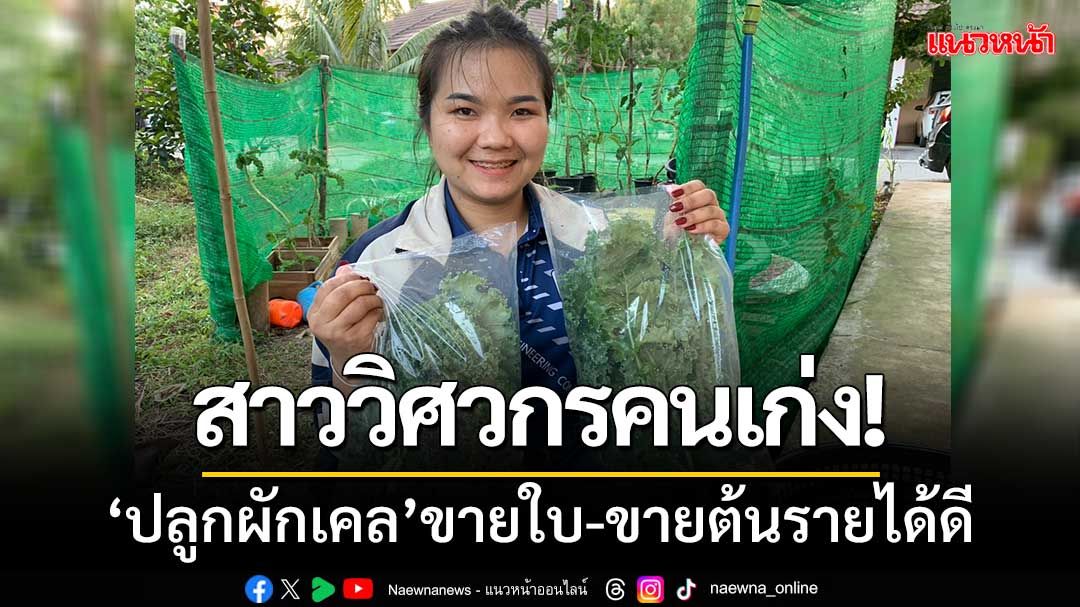 สาววิศวกรโยธาคนเก่ง ‘ปลูกผักเคล’ ขายใบ-ขายต้นรายได้ดี