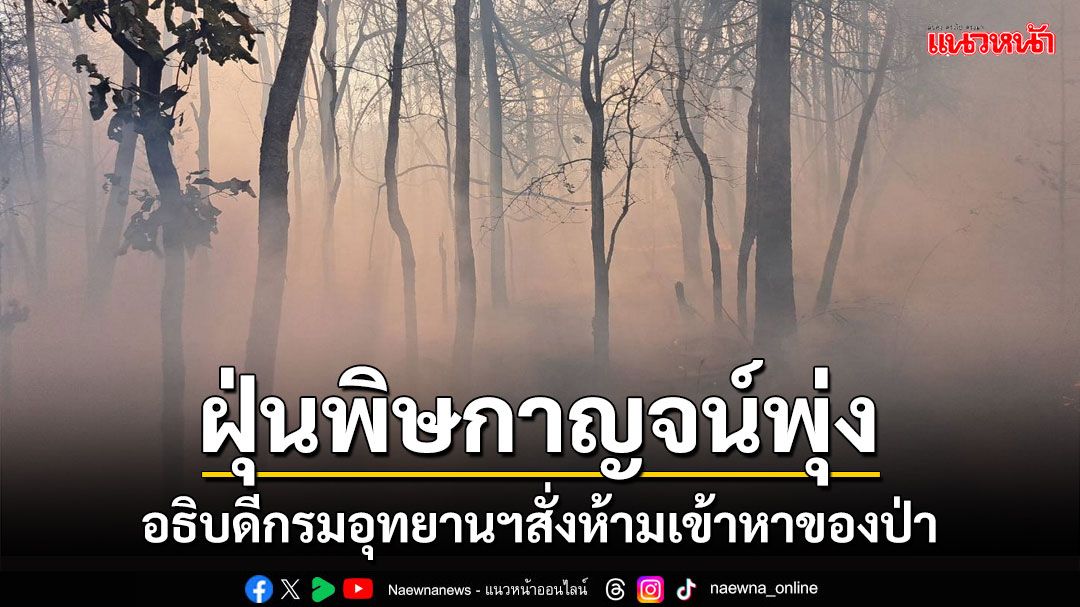 คุณภาพอากาศกาญจน์หนักขึ้นมีผลกระทบต่อสุขภาพ อธิบดีกรมอุทยานสั่งห้ามเข้าหาของป่า