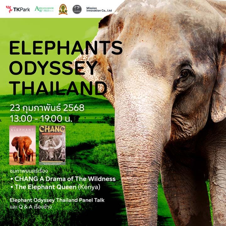 TK Park ชวนเปิดโลก ‘Elephants Odyssey Thailand’