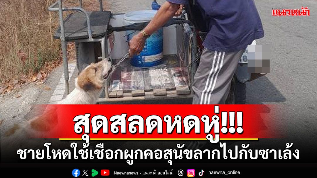 คนรักสัตว์สุดสลด! พบชายใช้เชือกผูกคอสุนัขลากไปกับซาเล้ง 'ผกก.เมืองกาญจน์'สั่งล่าตัว