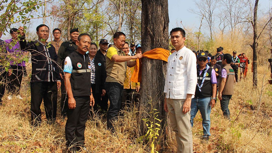 พิธีบวงสรวงผูกบุญบวชป่า'ภูปอ'คึกคัก ส่งเสริมแหล่งไม้กลายเป็นหินยุคจูแรสซิก