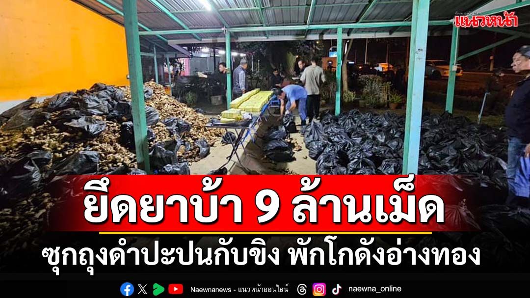 ‘ตำรวจภาค1’ยึดยาบ้า 9 ล้านเม็ด ซุกถุงดำปะปนกับขิง ขนจากตากพักรอโกดังอ่างทอง