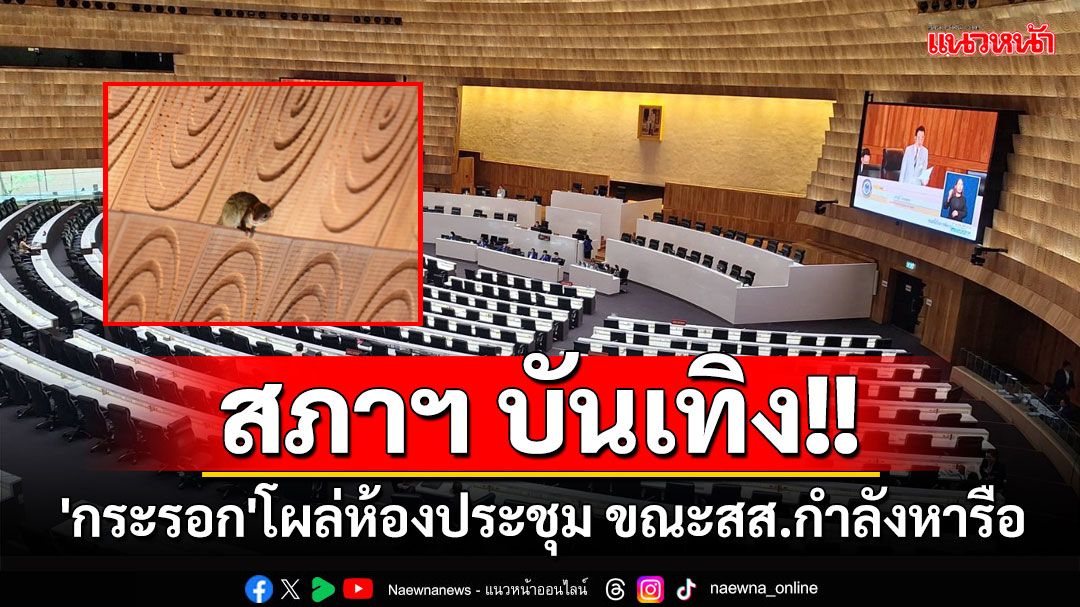 สภาฯ บันเทิง!! 'กระรอก'โผล่ห้องประชุมสุริยัน​ ขณะ​สส.​กำลังหารือ​