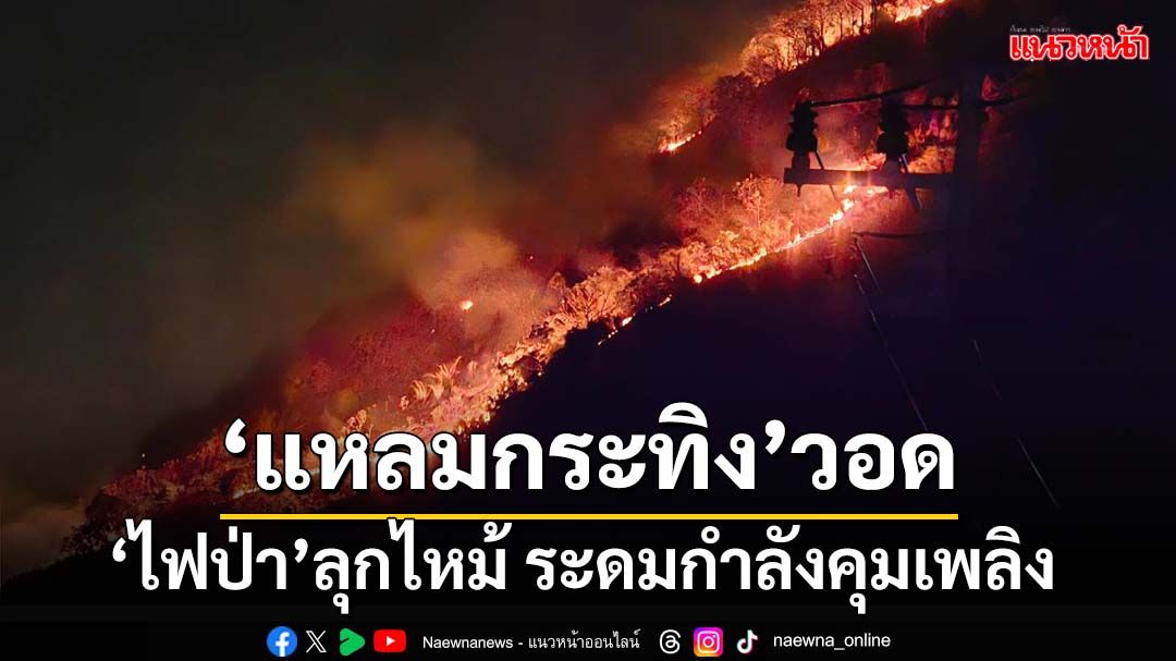 ‘ภูเก็ต’ไฟป่าลุกไหม้‘แหลมกระทิง’ วอดแล้ว 5 ไร่ ระดมกำลังเร่งคุมเพลิง