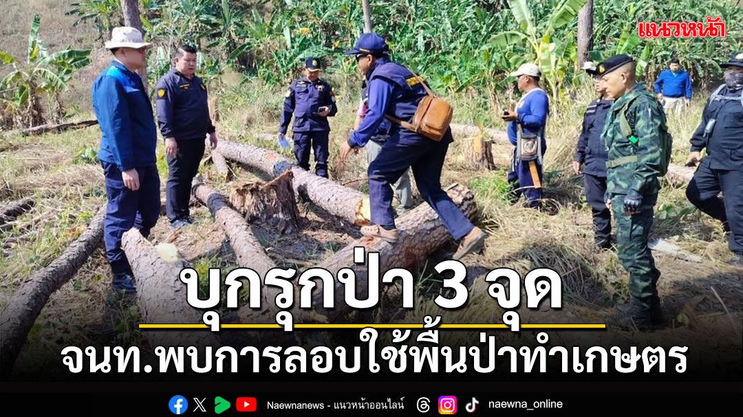 ‘บุกรุกป่า’ จนท.เร่งตรวจสอบ หลังพบการบุกรุกพื้นป่าใน อ.แม่สรวย