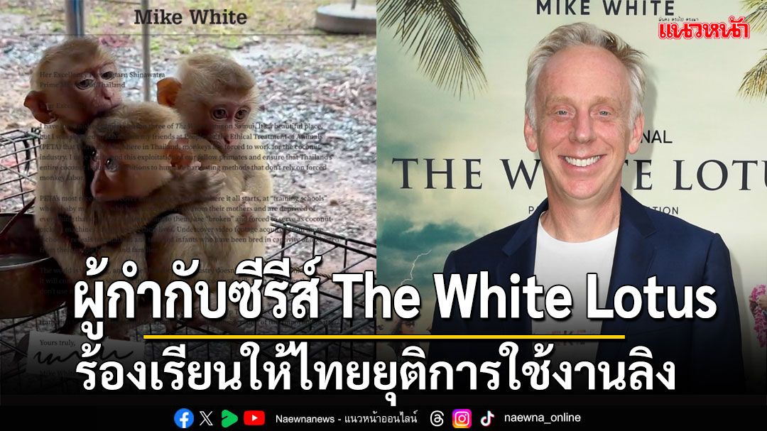 Mike White ผู้กำกับThe White Lotus ร้องเรียนให้หยุดทารุณกรรมลูกลิงในไทย