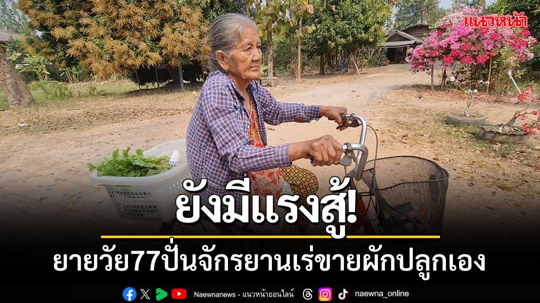 ยังมีแรงสู้! ยายวัย77ปั่นจักรยานเร่ขายผักปลูกเอง เผย!ดีกว่าอยู่เฉยๆ