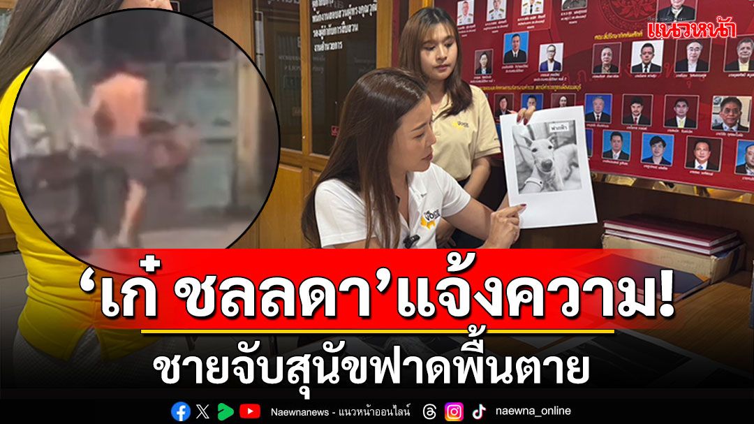 'เก๋ ชลลดา'แจ้งความ! ชายหญิงจับสุนัขฟาดพื้น พบทารุณหมาแมวหลายตัวสาหัส