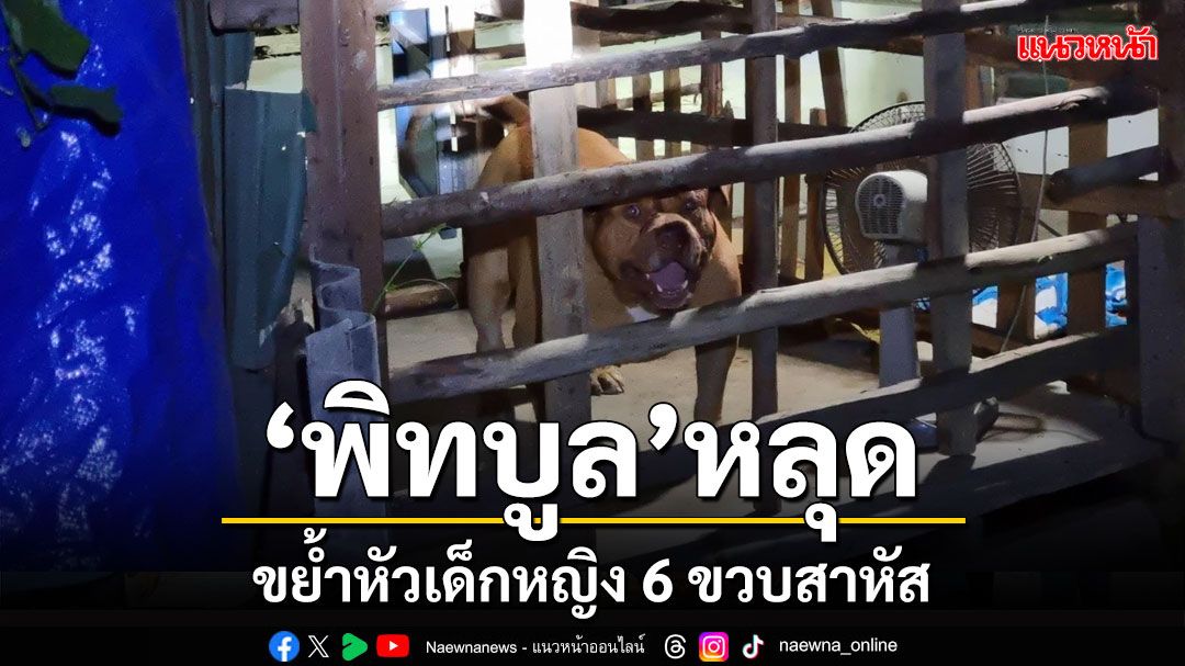 'พิทบูล' หลุดลากเด็กหญิงวัย 6 ขวบจากเตียงขย้ำกัดกระชากหนังหัวสาหัส