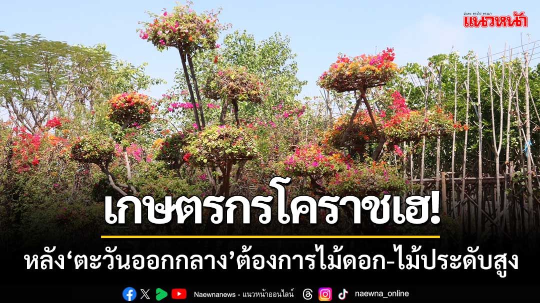 เกษตรกรเมืองย่าโมเฮ! ‘ตะวันออกกลาง’มีความต้องการไม้ดอกไม้ประดับสูง