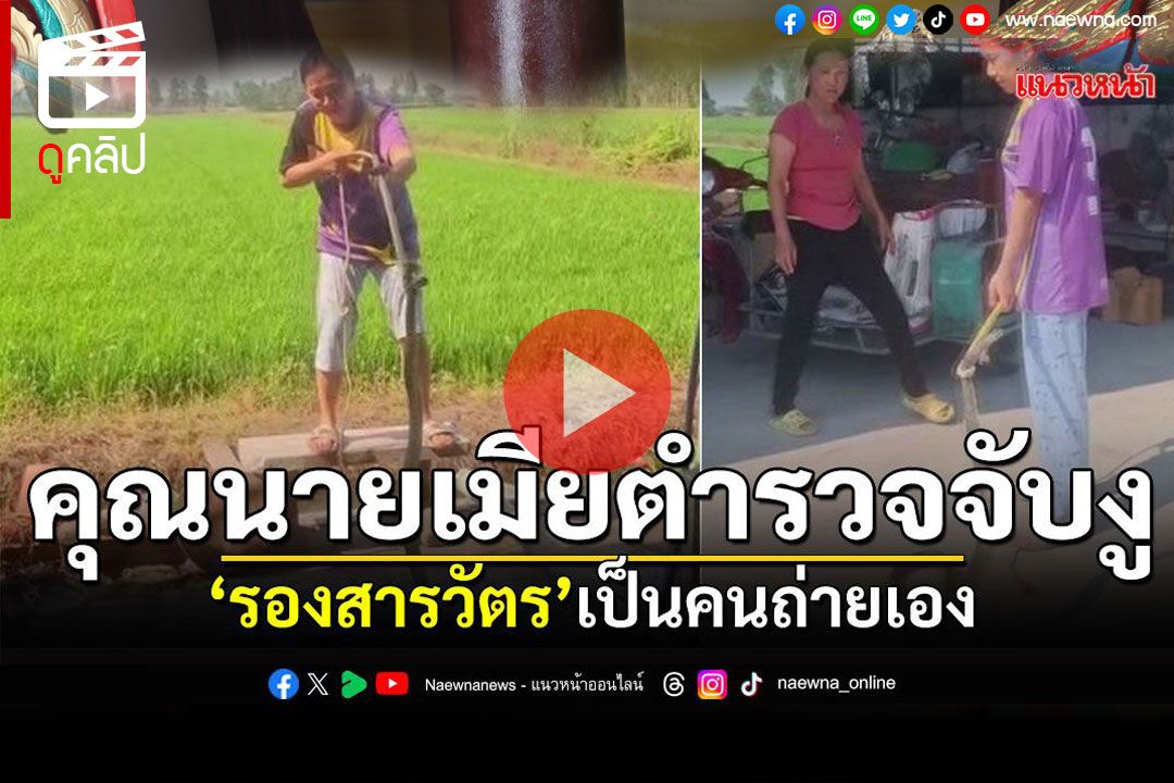 (คลิป) คุณนายเมียตำรวจจับงู 'รองสารวัตร'เป็นคนถ่ายเอง