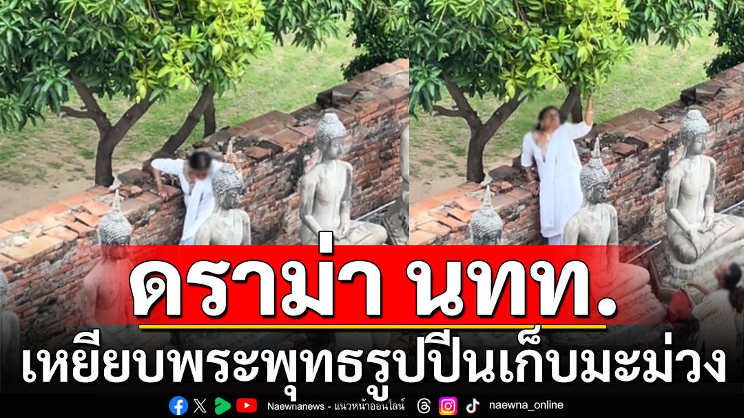 ดราม่า! นักท่องเที่ยวต่างชาติ เหยียบพระพุทธรูปปีนเก็บมะม่วง วัดดังเมืองกรุงเก่า (คลิป)