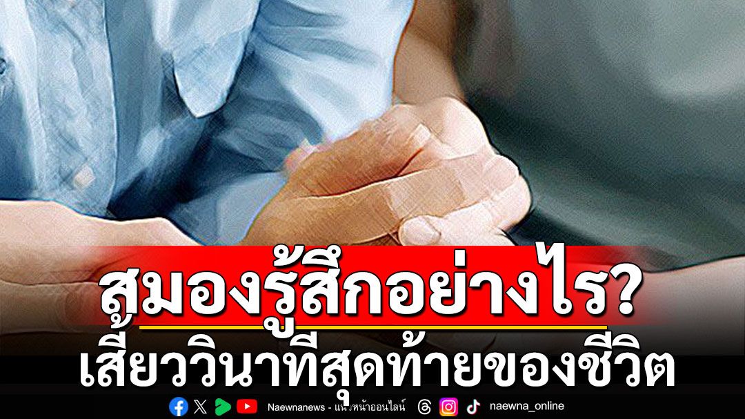 ไขความลับ! เสี้ยววินาทีสุดท้ายของชีวิต สมองรู้สึกอย่างไร?