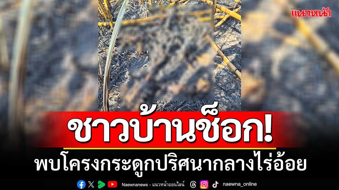 ชาวบ้านช็อก! ‘พบร่างชายปริศนา’ กลายเป็นโครงกระดูกกลางไร่อ้อย