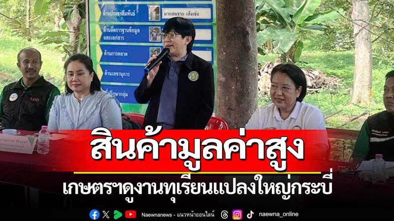 เกษตรฯลงพื้นที่ติดตามแปลงใหญ่ทุเรียนจ.กระบี่