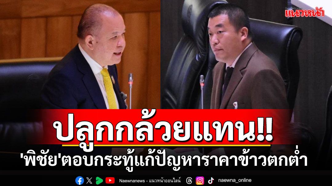 'พิชัย'ตอบกระทู้'สส.ปชน'แก้ปัญหาราคาข้าว ชงปลูกกล้วยแทน เจาะตลาดญี่ปุ่น