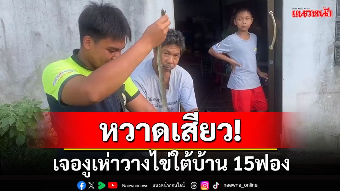 เด็ก10ขวบเห็นหางงูเห่าเรียกกู้ภัยจับ พบไข่พร้อมออกอีก15ฟอง